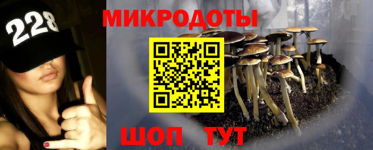 Сосновый Бор  Галлюциногенные грибы мицелий  Псилоцибиновые грибы Cubensis  Вход с VPN 